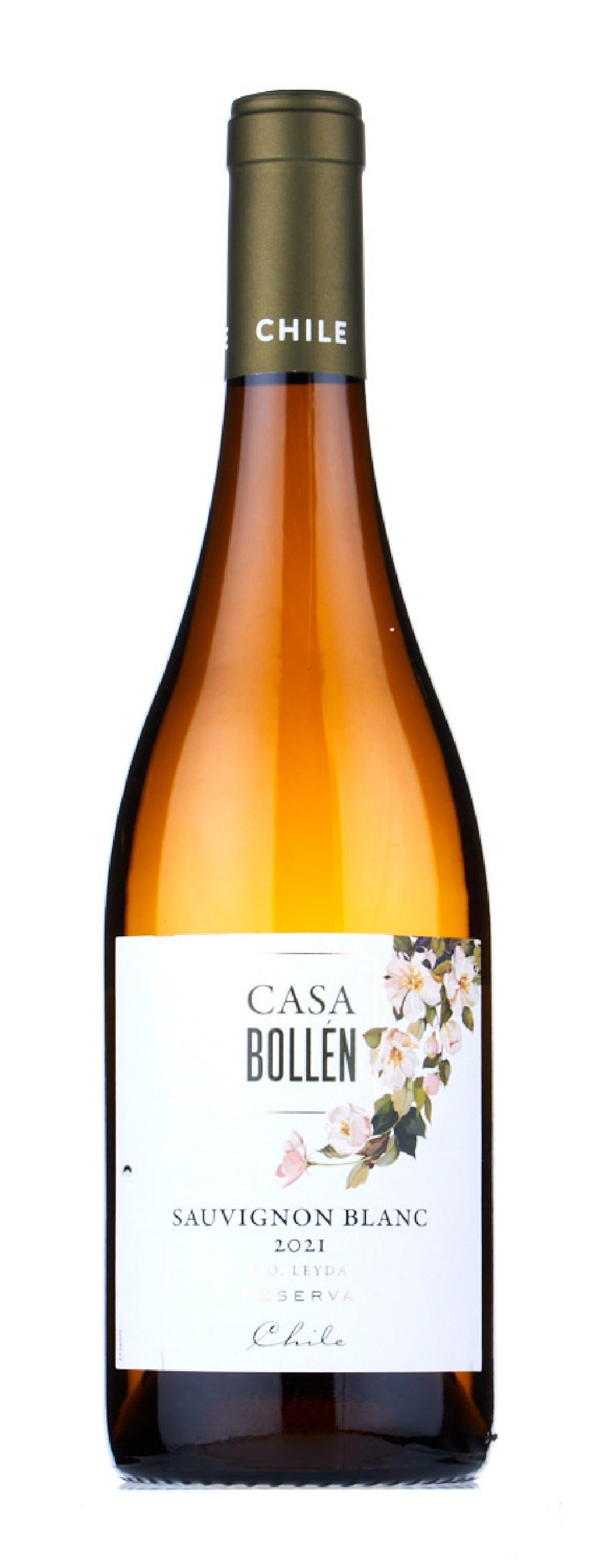 Casa Bollen Sauvignon Blanc