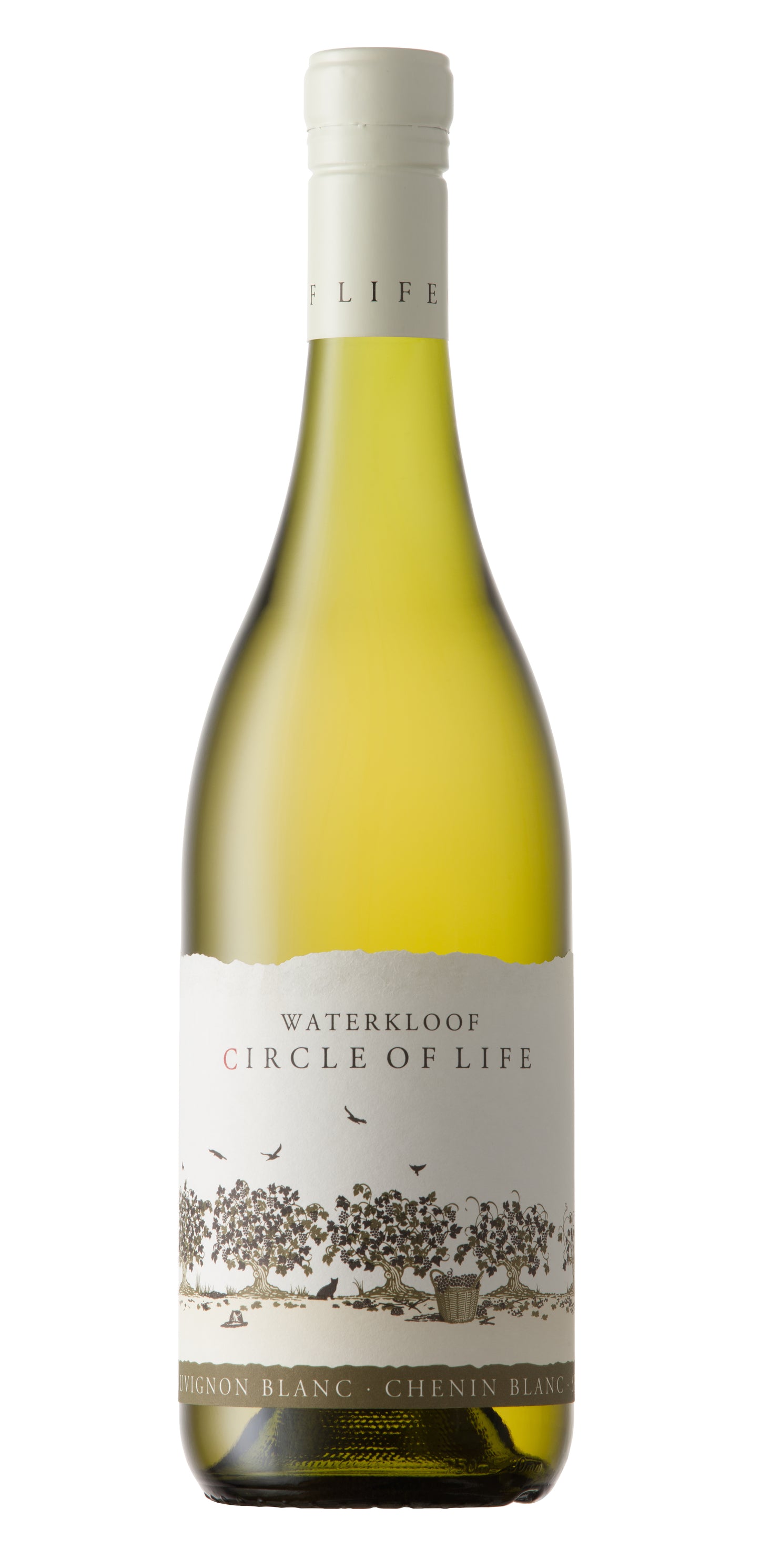 Circle of Life White, Stellenbosch