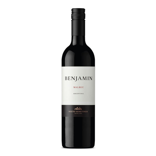 Nieto Senetiner Benjamin Malbec